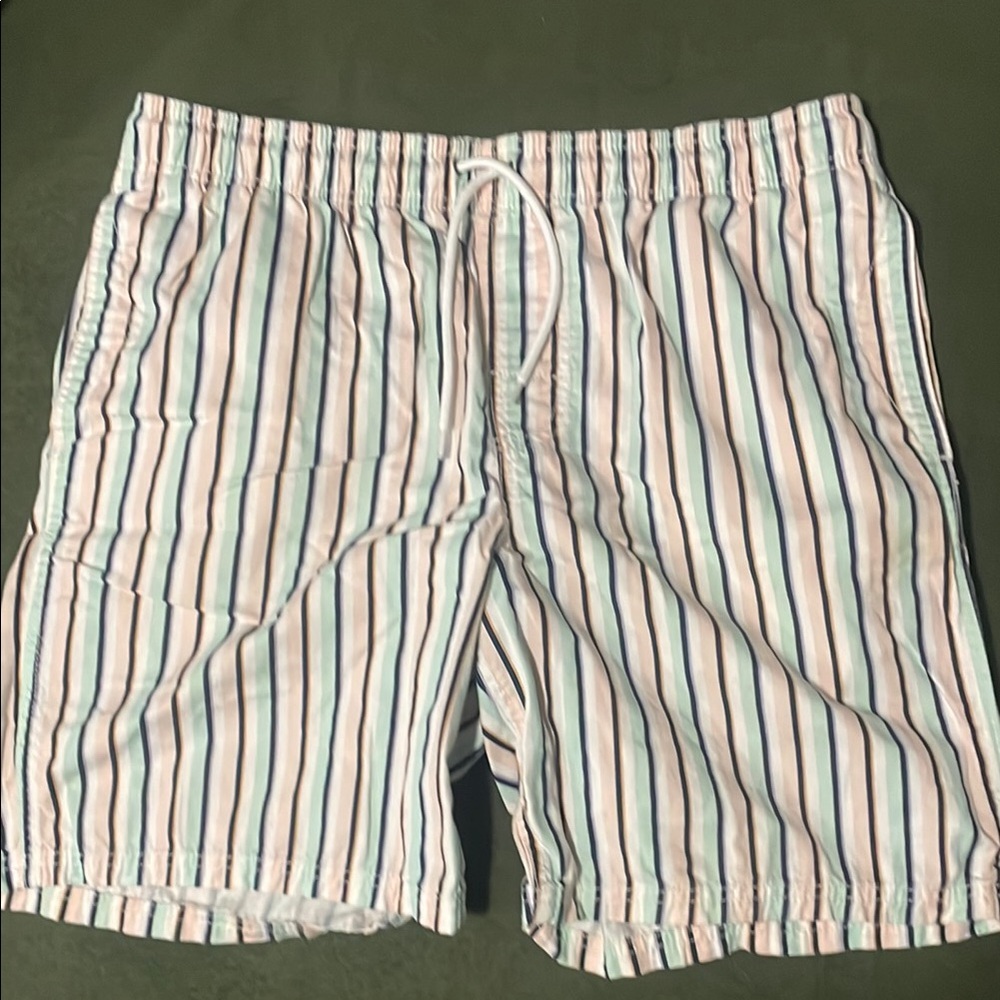 Striped Men's Swim Shorts